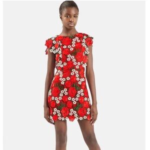 Topshop Floral Lace A-Line Dress